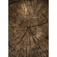 thumbnail image 2 of Modern Abstract 3'x4' Outdoor Rug Waterproof Washable Funky Area Rug for Balcony Deck Porch Patio Non Slip Art Deco Living Room Bedroom Carpet Kitchen Runner Rugs, 2 of 6