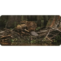 Beavers #1 Photo License Plate