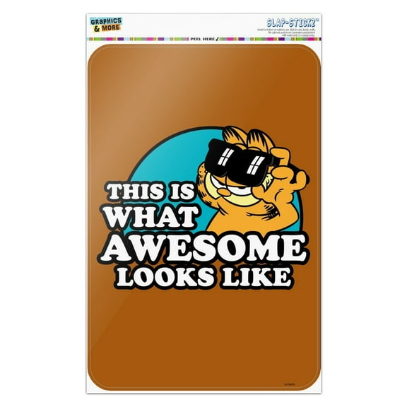 Garfield This is What Awesome Looks Like Home Business Office Sign