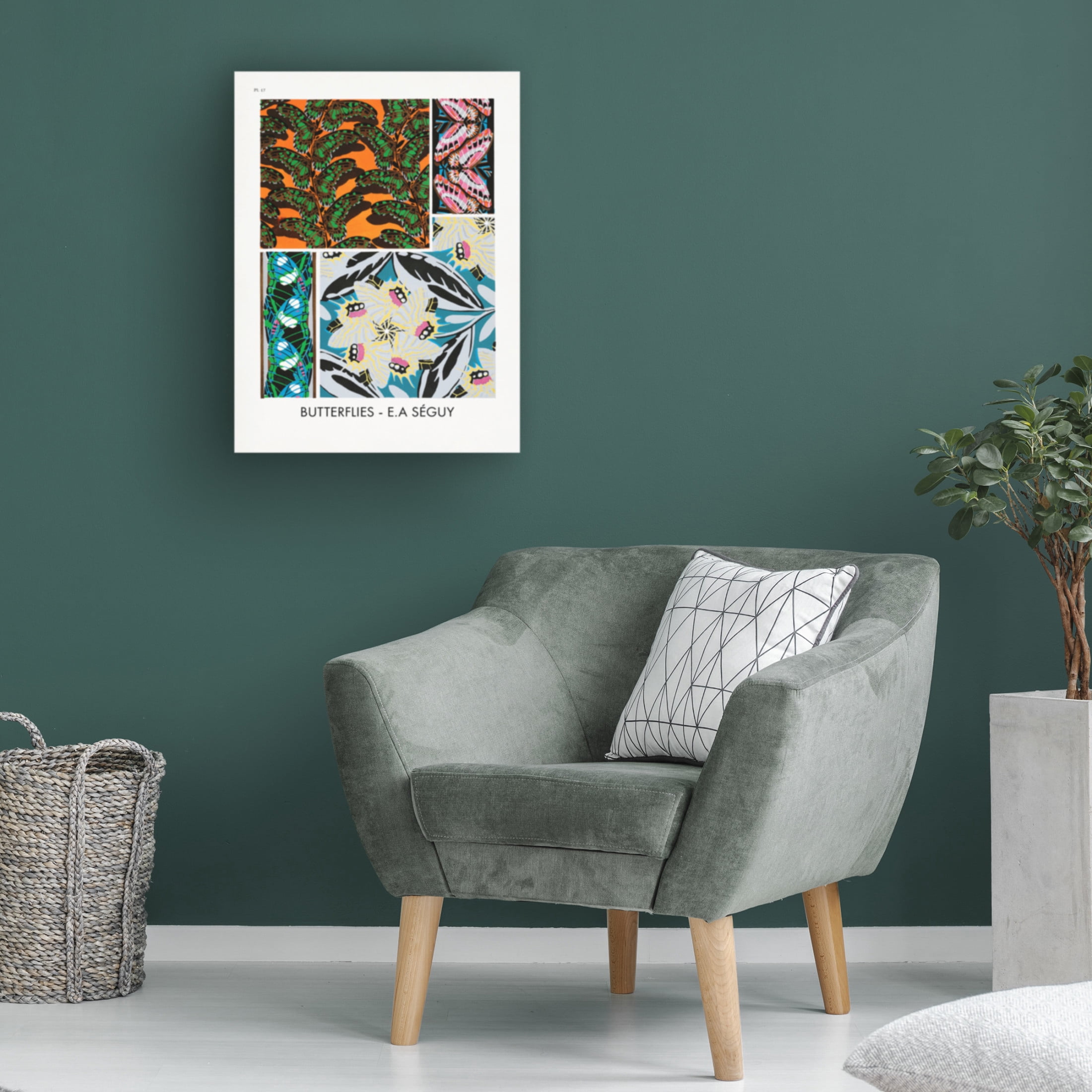 Trademark Fine Art Pictufy Butterflies 17 Canvas Wall Art