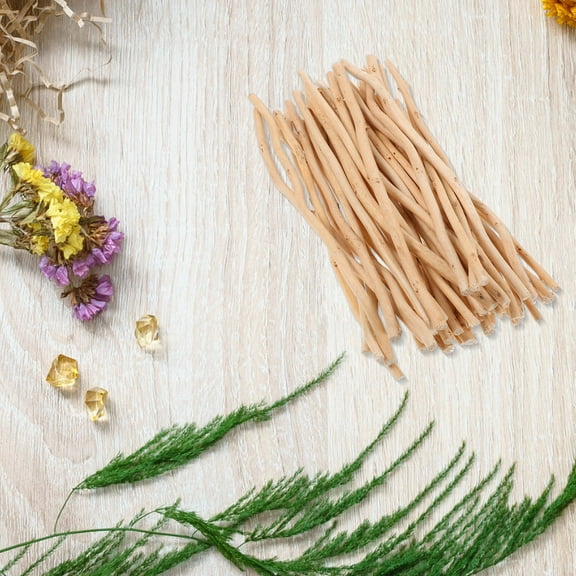 NICEXMAS Twigs For Crafts Wood Sticks Beige 50Pcs For Home Decor