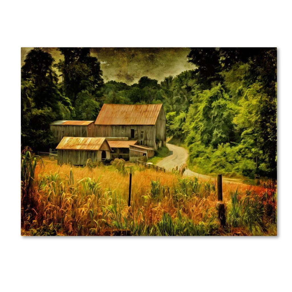Trademark Fine Art "Country Road In Summer" Canvas Art by Lois Bryan