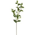 thumbnail image 1 of Vickerman FD170101-3 34 in. Artificial White Tea Rose Spray, 3 per Pack, 1 of 3
