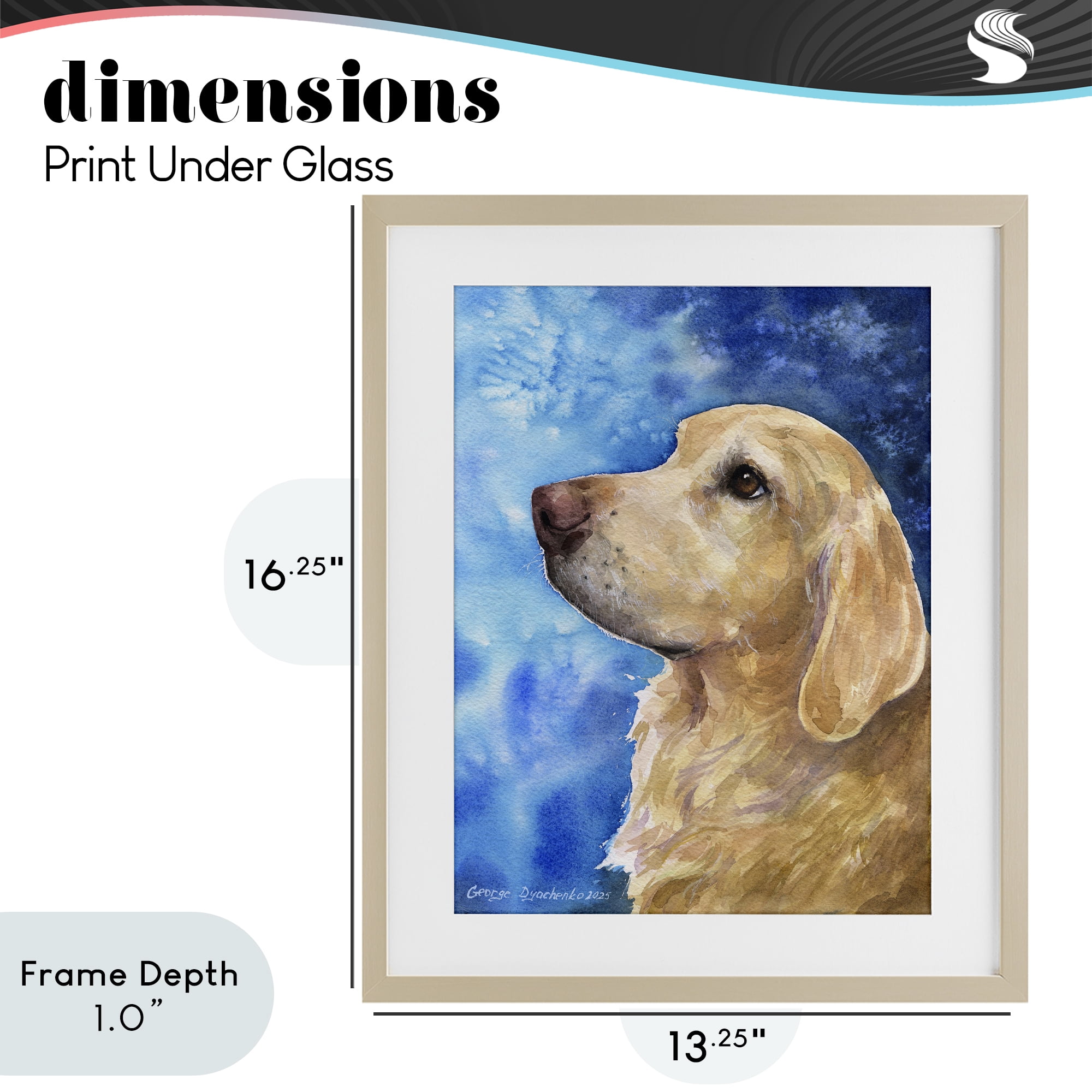 Stupell Industries Golden Retriever Portrait on Azure Birch Framed Print Under Glass, design by George Dyachenko