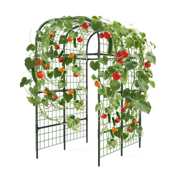 Huisuilinss Metal Garden Arch Trellis,Outdoor Garden Arbors And Arches For Raised Beds,Wedding Arch Frame Archway,Plant Support For Climbing Plants Vine Vegetable,Christmas Party Ceremony