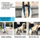 thumbnail image 4 of Dog Lifting Harness, Dog Rear Leg Harness, Sling Strap, Portable Aid for Weak Legs, Stand-Up Support, Balance, Lift Support Harness, Dog Rear Lifting Harness, 4 of 5