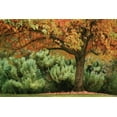 thumbnail image 2 of Vitaly Geyman 18x13 White Modern Wood Framed Wall Art Titled - Ocean of Colors, 2 of 5