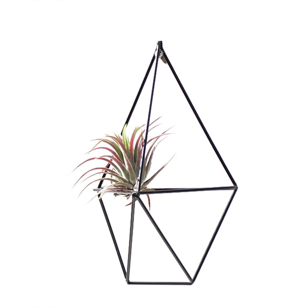 EnowiseYL Wall Mounted Air Plants Holder Irregular Geometric Metal