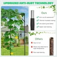 thumbnail image 6 of Lilypelle Large Outdoor Garden Arch Trellis for Climbing Plants, 79'' H x 79'' L x 79'' W Large Grape Vine Trellis Arch Arbor Gazebo, Grape Trellis for Courtyard and Garden Decoration, Black, 6 of 9
