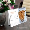 thumbnail image 5 of Highland Cows | 2027 7.5x6" Double-View Easel Desk Calendar, 5 of 9