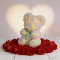 thumbnail image 4 of Loespoir Pompom Bear Plushs Toy, Valentines's Day Gift Ornament, Soft Stuffed Animal with Pompoms, For Cuddling, Shelf Decor, Gift for Her, Cute Animal Friend(A), 4 of 7
