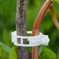 thumbnail image 4 of Support Clips for Vine Tomato Pepper Farming and Garden Hanging Growth with Durable Material, 4 of 5