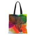 thumbnail image 1 of NUDECOR Sac Fourre-Tout en Toile Éléphant Tribal Abstrait Coloré Original Beau Sac à Main Réutilisable Épaule Sac de Courses, 1 of 1