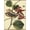 Unframed, variant on Art.com Petite Dragonflies III Art Print by Vision Studio, 12" x 16"