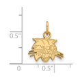 thumbnail image 2 of Real 10kt Yellow Goldy LogoArt Ohio University XS Pendant; for Adults and Teens; for Women and Men, 2 of 2