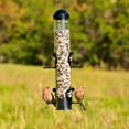 thumbnail image 2 of Perky-Pet 1 lb Squirrel Shield Tube Feeder, 2 of 6