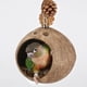 thumbnail image 4 of 46mm Rose Gold Nido de Pájaro de coco, nidos de cría de loros, columpio para pájaros, juguete colgante, casa para pájaros, 4 of 5