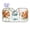 M, variant on Squirrel Lover Cute Squirrel Car Windshield Sun Shade Universal Fit Auto Sun Visor Protector