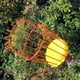 thumbnail image 3 of Eigraketly Herramienta roja práctica y práctica para recoger frutas, cesta para recoger frutas y productos frescos Jardín y Patio, 3 of 6