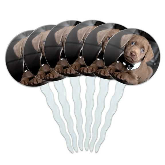 Labrador Lab Puppy Dog Bachelor Bow Tie Cupcake Picks Toppers Decoration Set of 6