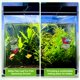 thumbnail image 5 of Uxcell 3-Pack Almohadilla de Hoja para Pez Betta Plástico, Simulando el Hábitat Natural Hamaca para Cría [Forma de Fittonia, Verde], 5 of 7
