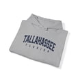 thumbnail image 4 of Tallahassee Florida Trip Moving Vacation Hoodie, Gifts, Hooded Sweatshirt, 4 of 4