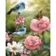 thumbnail image 1 of Bird on Branch Pintura al óleo por números Kit DIY Dibujo sin marco Imagen para adultos Tmvgtek decoración de arte en el hogar, 1 of 9