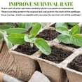 Xubond Degradable Peat Pots Seed Starter Trays Seedling Germination 6 technology-gaming-f-4k-ultra-hd-qled-britbox-very