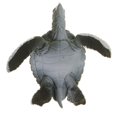 thumbnail image 4 of de Animales de Simulacicón Coleccionable de Navidad para Tortuga D CUTICAT Juguete de figura animal, 4 of 8