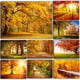 thumbnail image 4 of Póster de lienzo con decoración de otoño, hojas amarillas, vista de otoño, arte de pared, impresión, pintura de puente, imagen de Halloween, decoración del hogar para sala de estar, 4 of 5