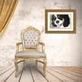 thumbnail image 3 of Millet, Karyn 14x11 Gold Ornate Wood Framed with Double Matting Museum Art Print Titled - King Charles Spaniel, 3 of 4