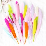 Natural DIY Feather Craft Kit Animal Feather Art Supplies for Kids Handmade Decoration Educational Arts & Crafts Toy