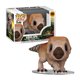 thumbnail image 2 of Figura Coleccionable Funko Pop Movies Jurassic World Rebirth Aquilops 1 Pieza, 2 of 4