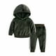 thumbnail image 1 of Ropa Para Niñas Pequeñas, Conjunto Para Niños Pequeños, Jersey Con Capucha De Terciopelo Dorado Para Otoño E Invierno, Top De Manga Larga, Pantalones Informales, Traje Odeerbi LM103-7155, 1 of 9