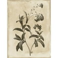 thumbnail image 3 of Grey, Jace 15x18 Black Modern Framed Museum Art Print Titled - Earthy floral 1, 3 of 5