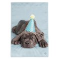 thumbnail image 1 of Neapolitan Mastiff Dog Puppy Blue Birthday Party Hat Garden Yard Flag, 1 of 4