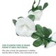 thumbnail image 4 of BRIGHTFUFU 6 uds. De plantas artificiales colgantes de vid, adornos colgantes de flores artificiales, 4 of 7