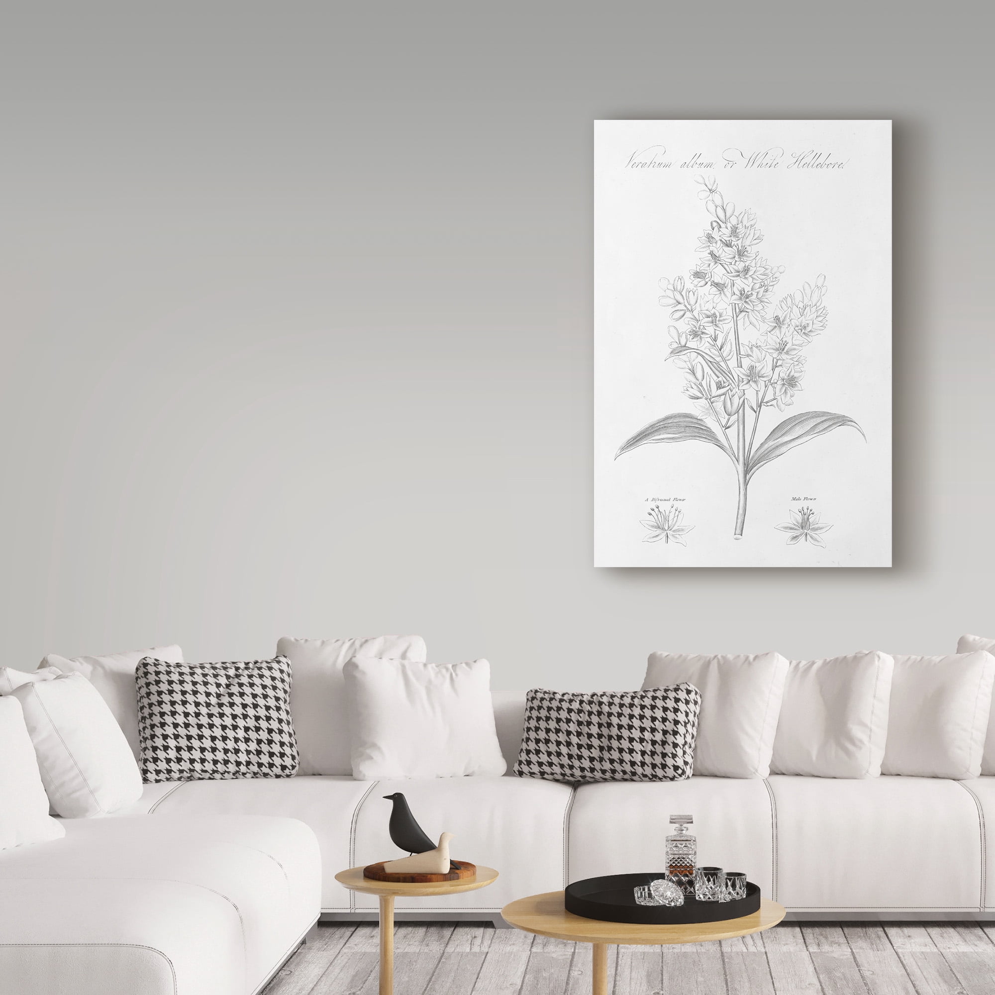 Trademark Fine Art 'Botany Book XI' Canvas Art by Wild Apple Portfolio