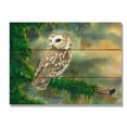 thumbnail image 2 of Day Dream DBSW1511 15 x 11 in. Bartholets Saw Whet Wall Art, 2 of 2