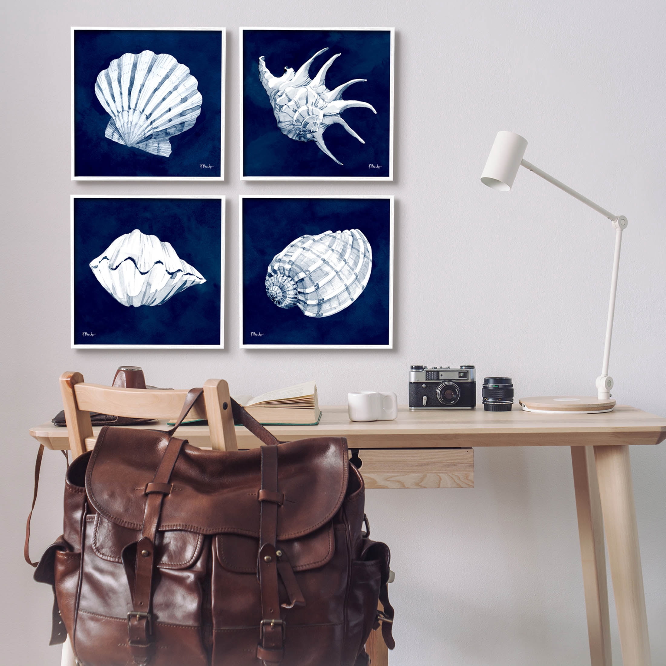 Stupell Industries Traditional Cyanotype Shells Graphic Art White Framed Art Print Wall Art, Set of 4, Design by Paul Brent