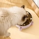 thumbnail image 5 of Xihbxyly Comedero de Acero Inoxidable para Gatos, Diseño Separador, Antideslizante, Gran Capacidad, Fácil de Limpiar, Estable En Las Cuatro Esquinas, Bebedero Multiusos, para Gatos de Todos Los Tamañ, 5 of 7