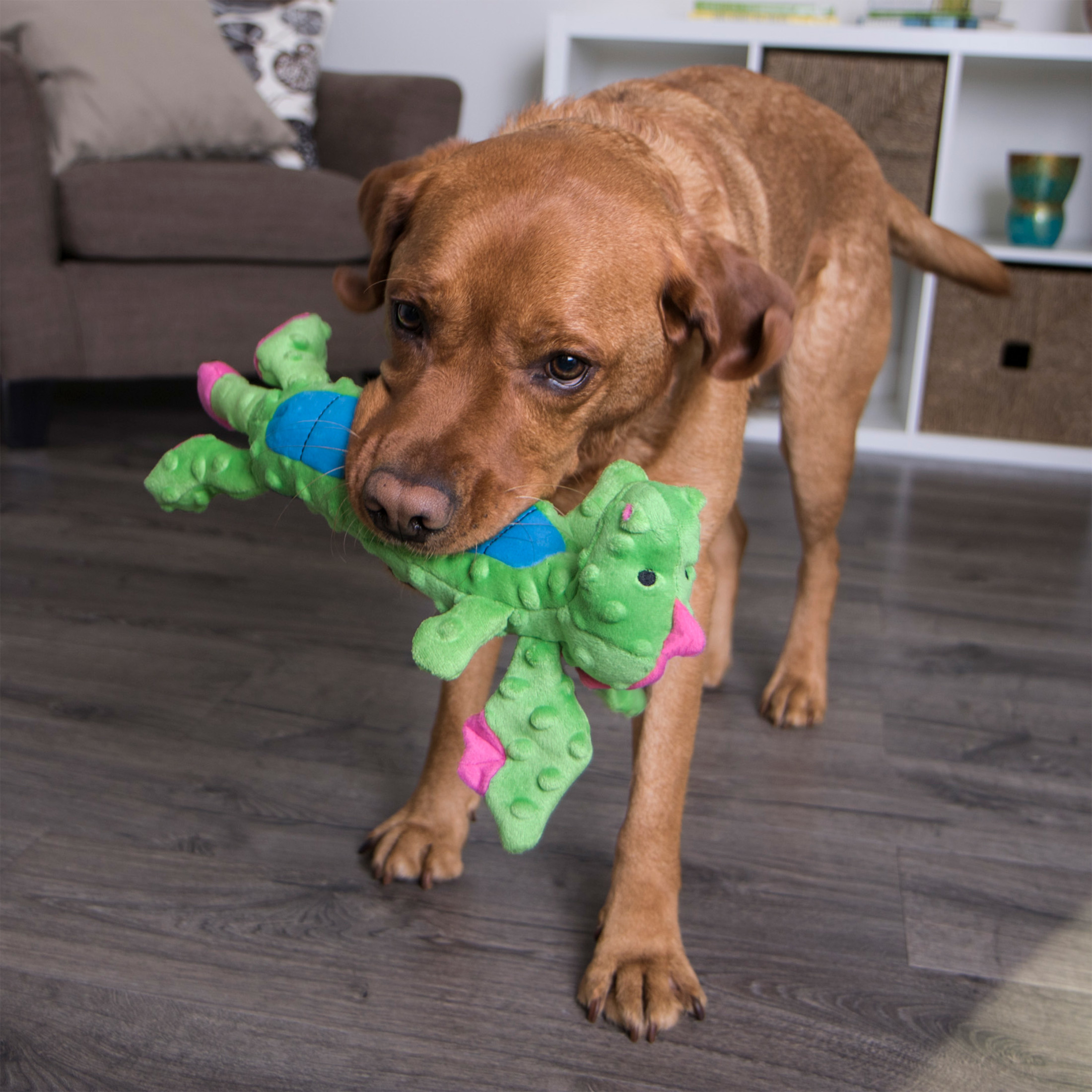 goDog Skinny Dragons Squeaky Plush Dog Toy, Green photo 3