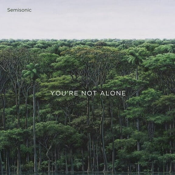 Semisonic - You're Not Alone - Music & Performance - Vinyl