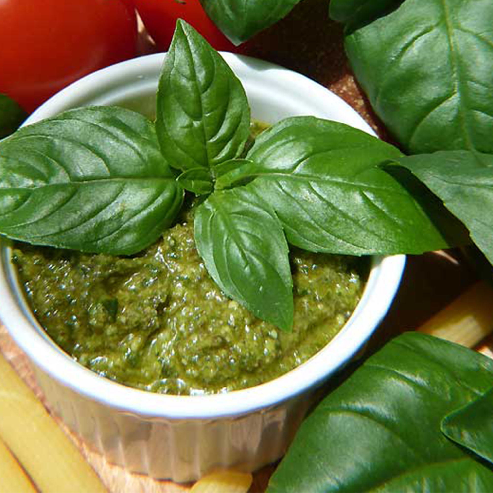 Basil, Italian Large Leaf 1 OZ 16,000 Seeds Heirloom Culinary Herb Gardening Microgreens