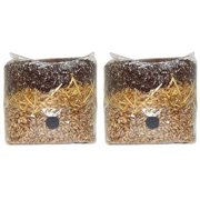 All in One Mushroom Grow Bag - Manure Based, 2 Pack