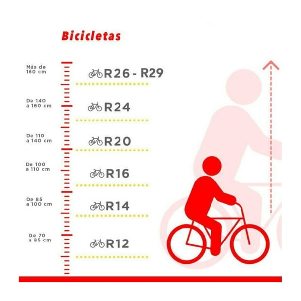 Aro Rodada 24 Estatura La Talla De Rodado Por Altura Bicicleta