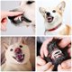 thumbnail image 5 of Cepillos de dientes para perros, cepillo de dientes para dedos, cepillo de dientes para mascotas, alevines 360 cepillo de dientes para dedos completamente envuelto, cepillo de dien, 5 of 5
