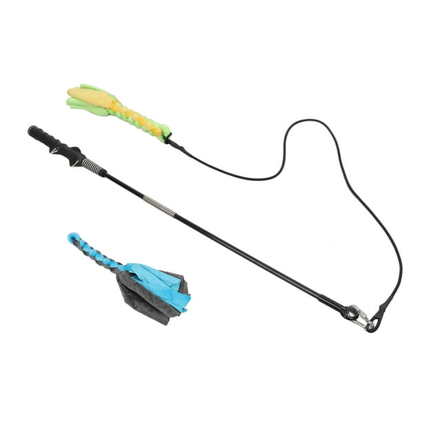 Dog fishing pole hot sale toy