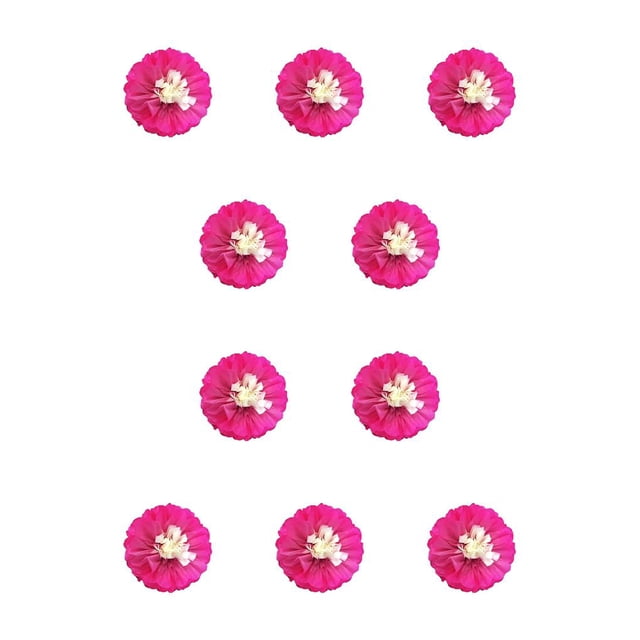 Ounissouiy Decoraciones florales de flores de papel para la pared Fondo decorativo conveniente para la decoración de la fiesta de aniversario Fushcia 25cm Fucsia 25cm 10piezas Ounissouiy CBP304040