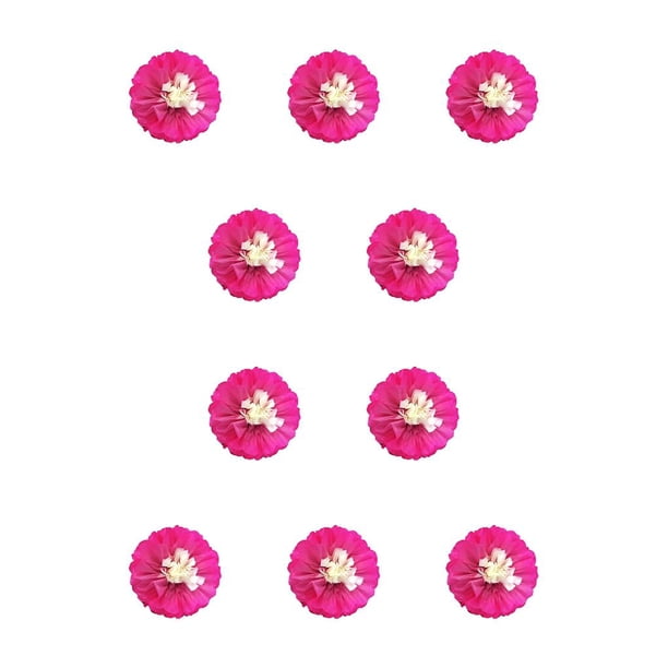 Kearding Decoraciones florales de flores de papel para la pared Fondo decorativo conveniente para la decoración de la fiesta de aniversario Fushcia 25cm Fucsia 25cm 10piezas Kearding CBP304040